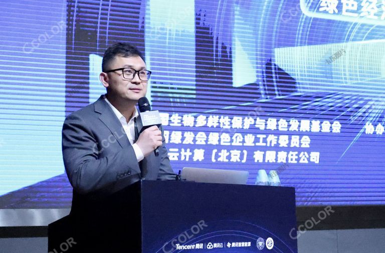 王磊（腾讯云能源行业总经理），中国绿色低碳创新发展高峰会